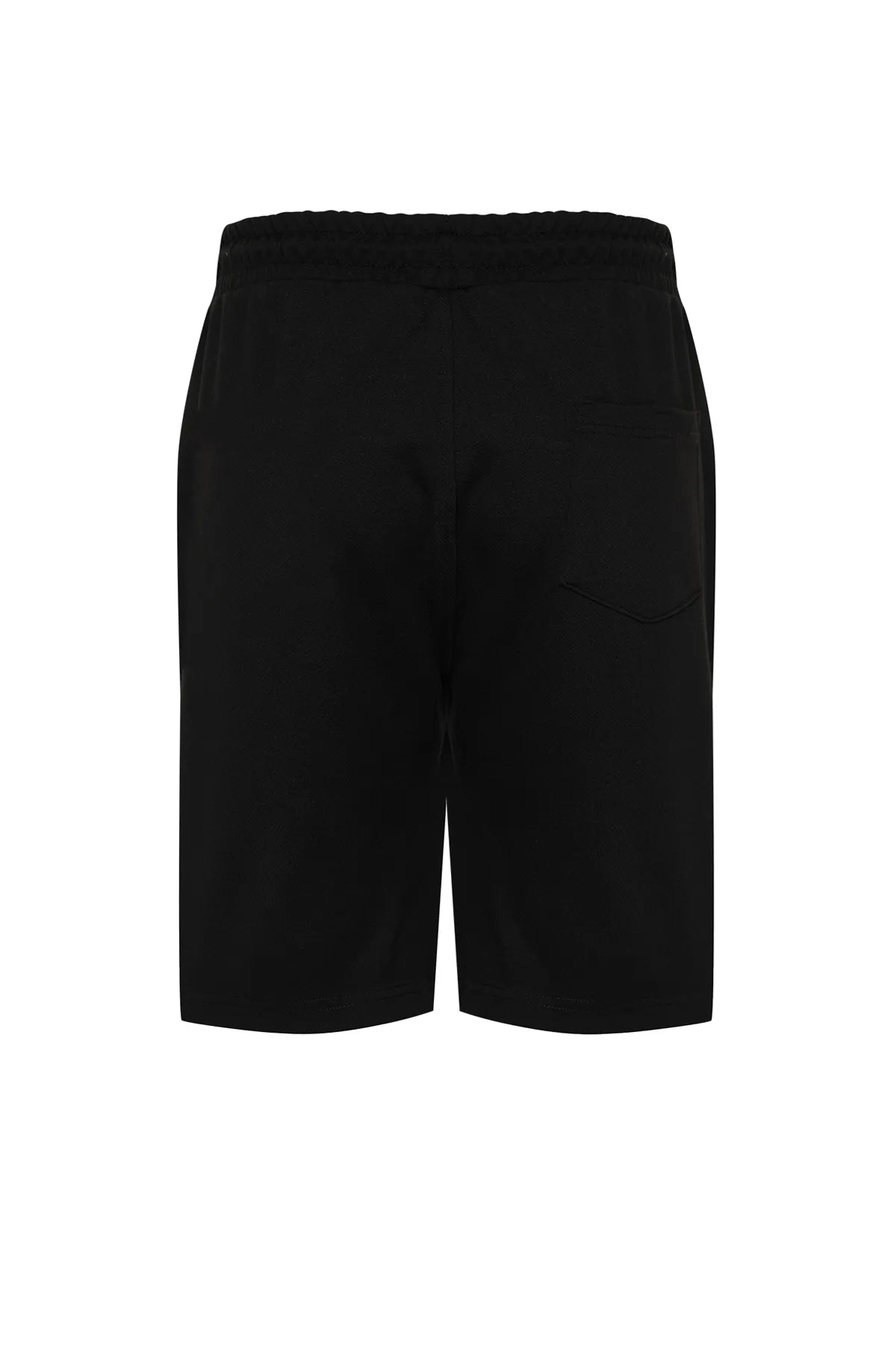Black Regular/Normal Cut Shorts & Bermuda